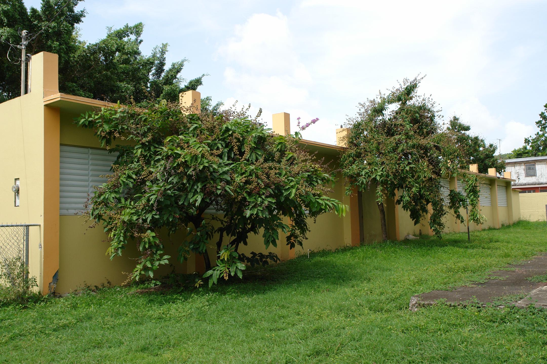 PR - Coamo - 2010 00060